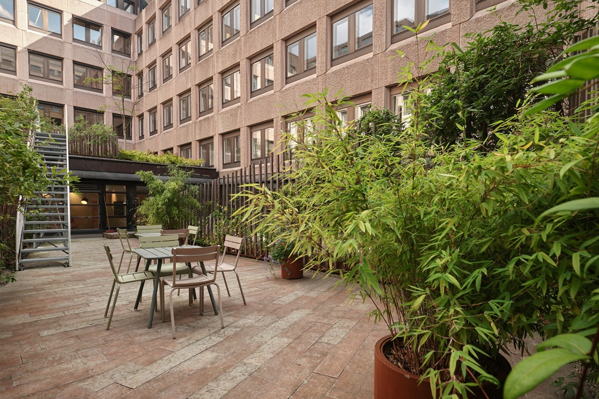 Grönskande innegård